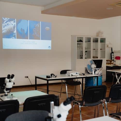 Erlebnispädagogische Projektwoche