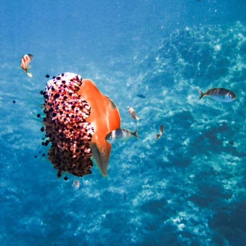 Erlebnispädagogische Projektwoche