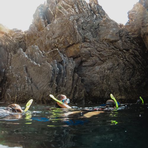 meeresbiologische projekttage 