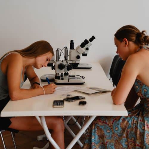 meeresbiologische projekttage