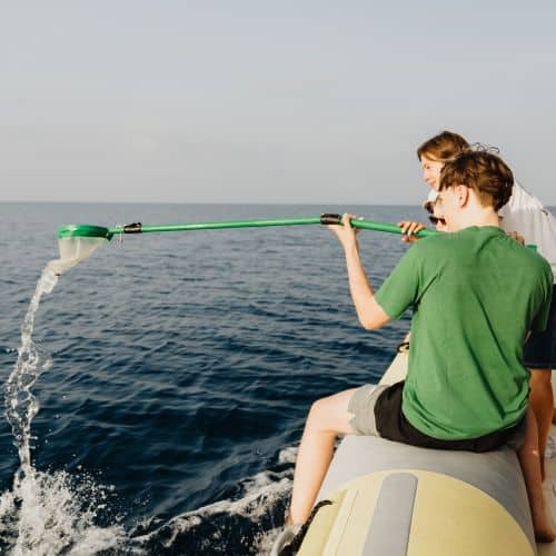 meeresbiologische projekttage