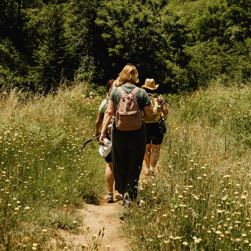 erlebnispädagogische projekttage