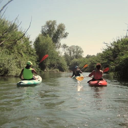 erlebnispädagogische projekttage