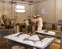 Mozzarella Produktion